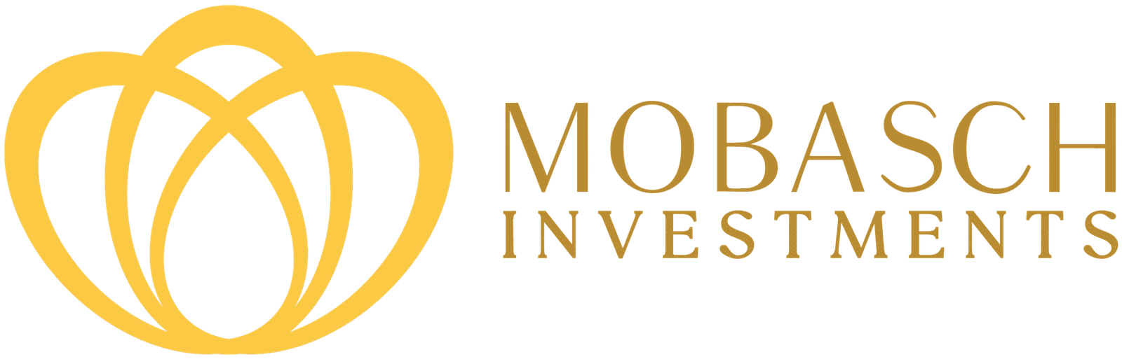 investments.mobaschgroup.com